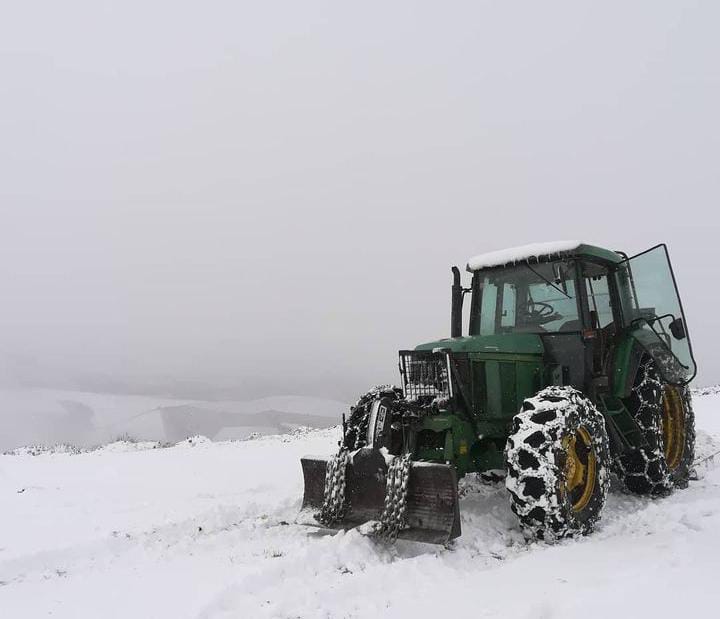 http://agroforestalgrado.es/wp-content/uploads/2022/11/desbroce-en-la-nieve.jpg