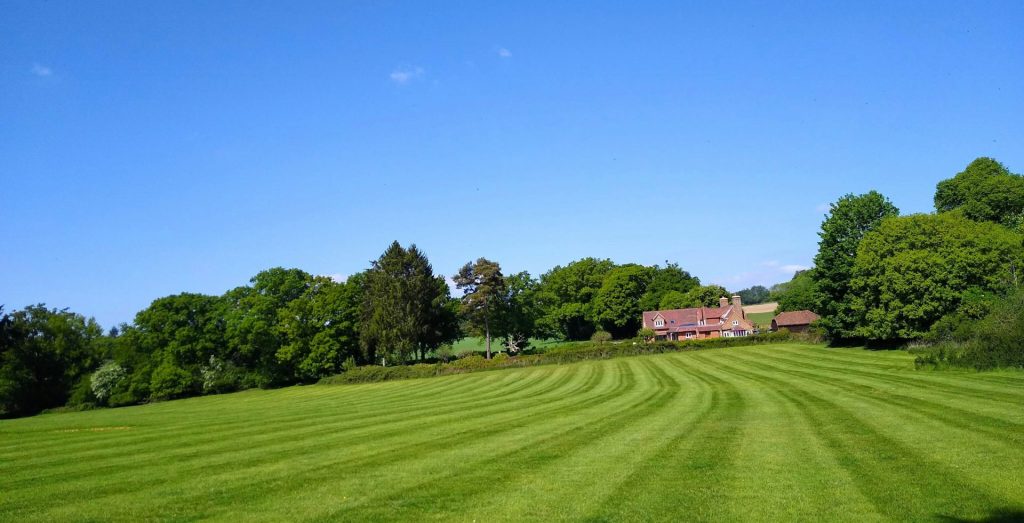 green grass field with houses under blue sky during daytime