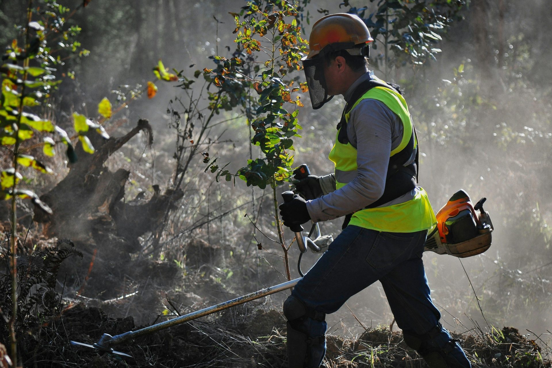 a man in a safety vest is using a tree trimmer